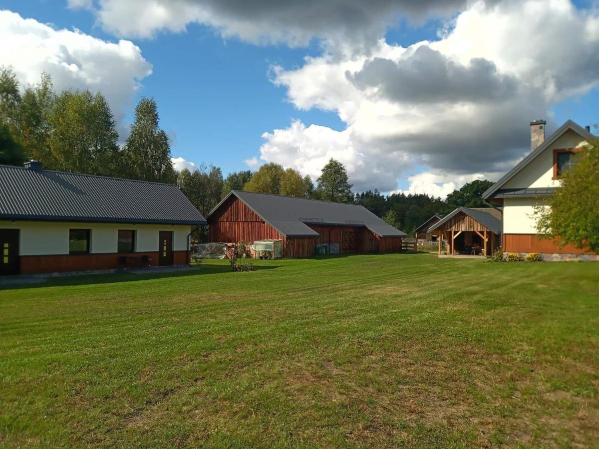 Siedlisko Czarny Dzięcioł - Housity