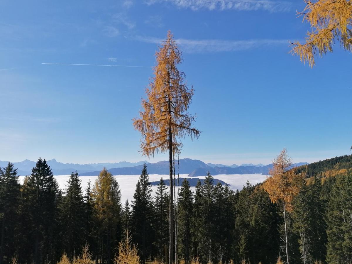 Gerlitzen Ferienappartement Paul im Ski- und Wandergebiet, Kanzelhöhe, Ossiacher See - Housity