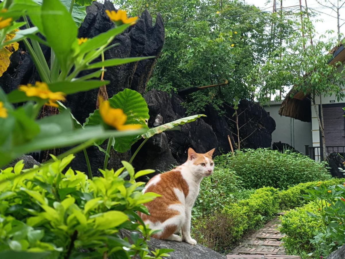 Wings Ha Giang Loop Bungalow - Housity