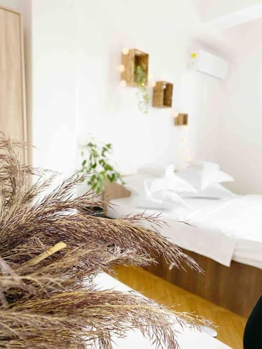 Cozy Flat Right Next To Bucharests Central Park - Housity