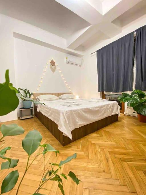Cozy Flat Right Next To Bucharests Central Park - Housity
