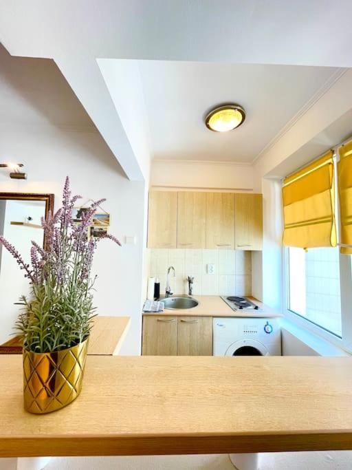 Boutique apartment in the Bucharest city center - Housity