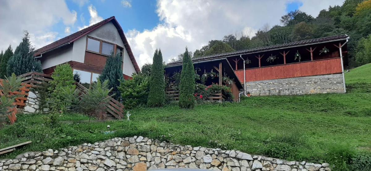 Pensiunea Casa Motilor - Housity