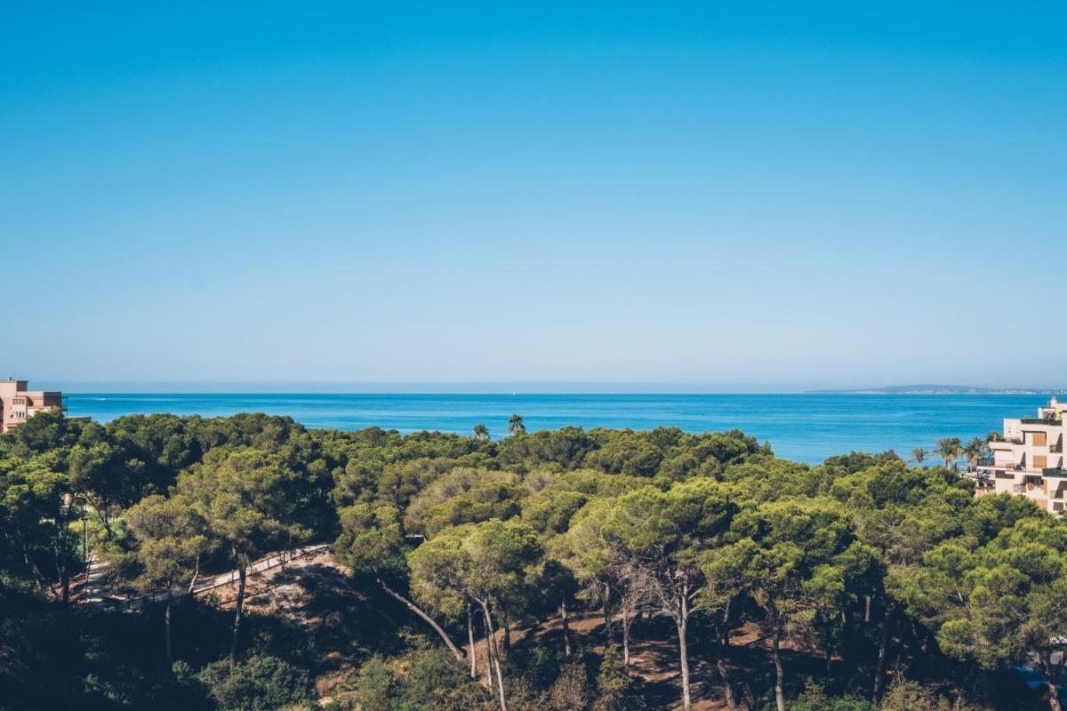 Paisaje cerca de este hotel