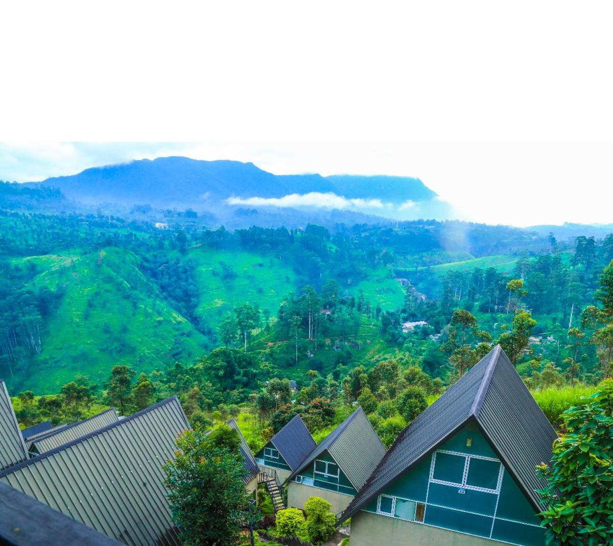 Hummingbird St.Clare Villas - Housity