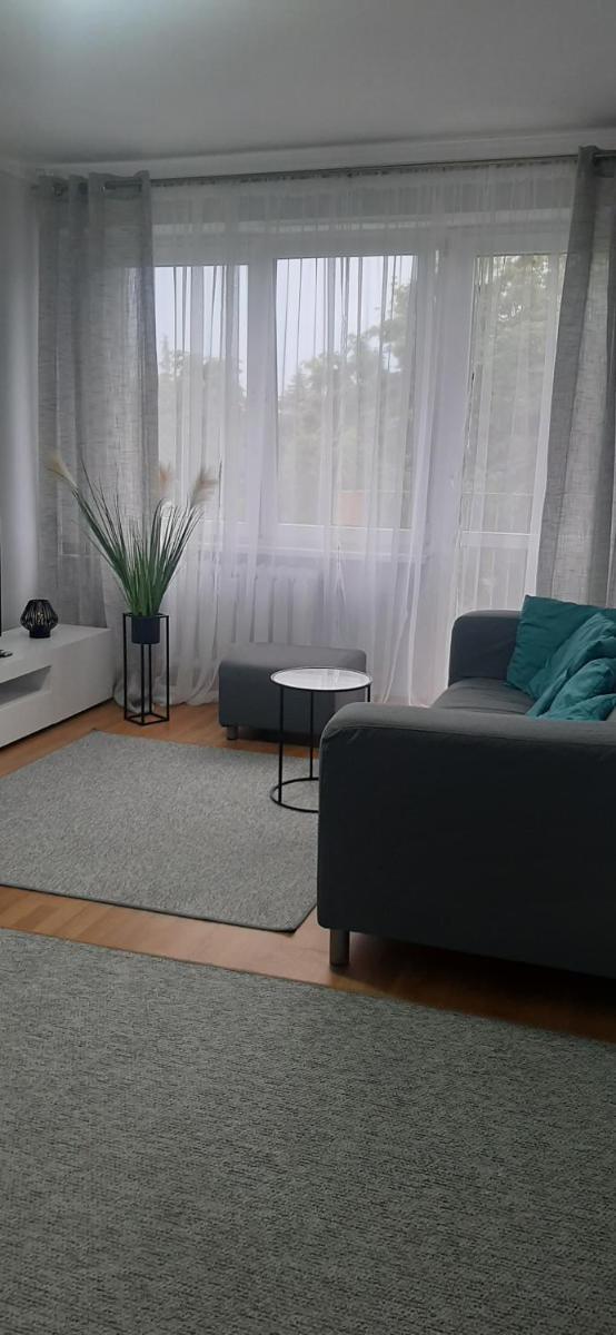 Flowers Apartament - Housity
