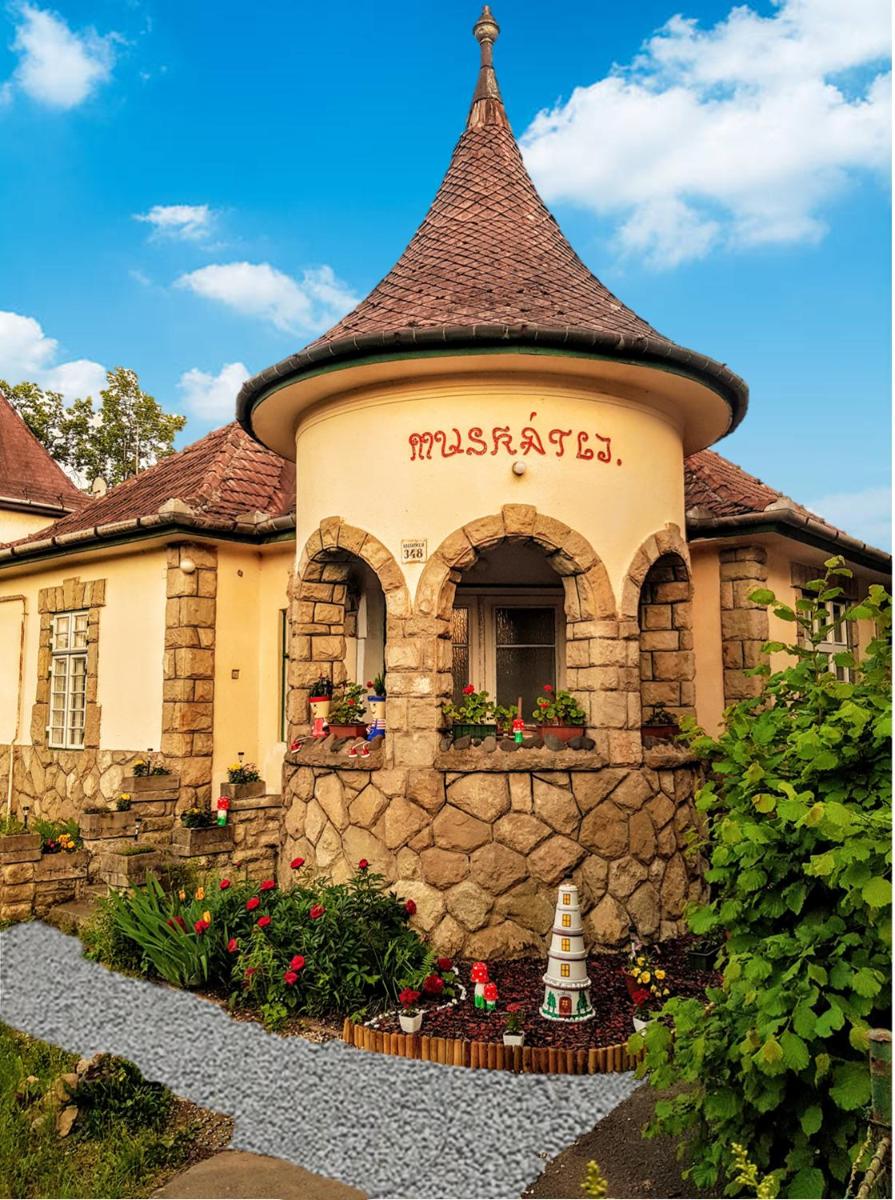 Muskátli Üdülőház - Housity