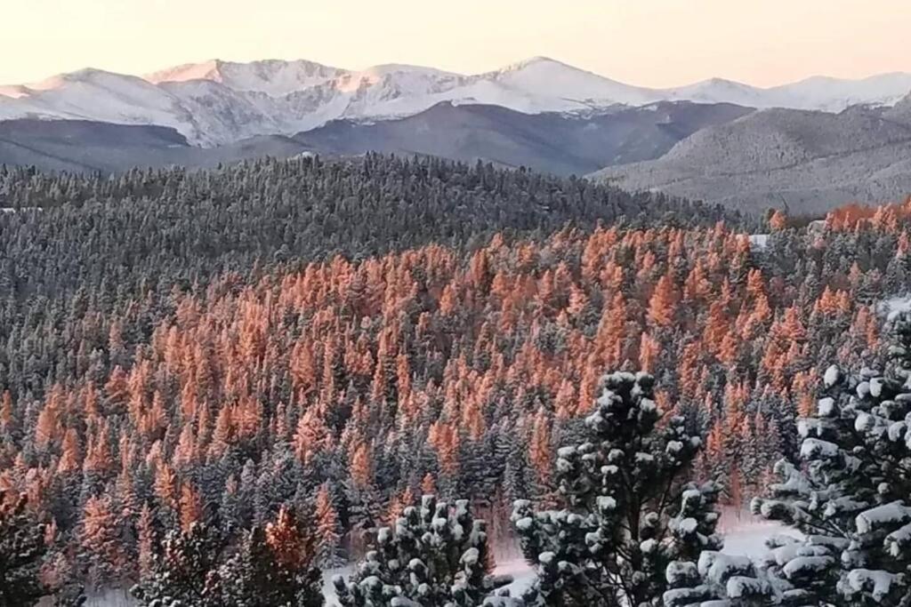 Off-grid Masterpiece Cabin W/ Breathtaking View - Housity