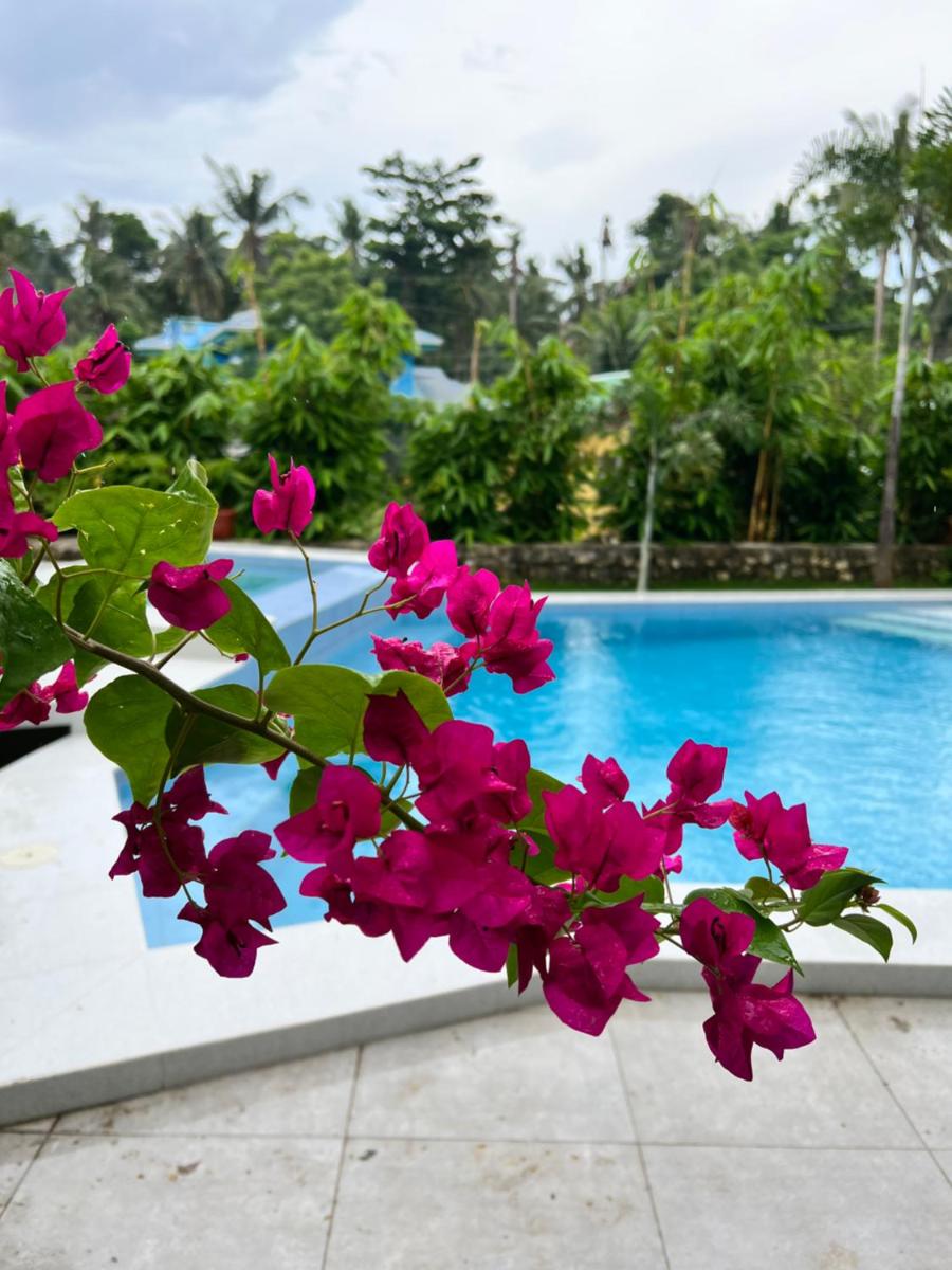 D ARC Leisure Home By The Sea - Housity