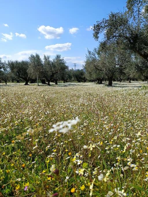 Μεζονέτα 5 υπνοδωμάτια, πλήρως εξοπλισμένη και με φορτιστή ηλεκτρικού αυτοκινήτου - Housity