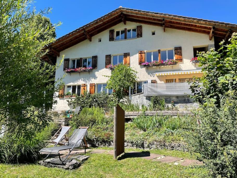 Villa Monkey - Hizvo