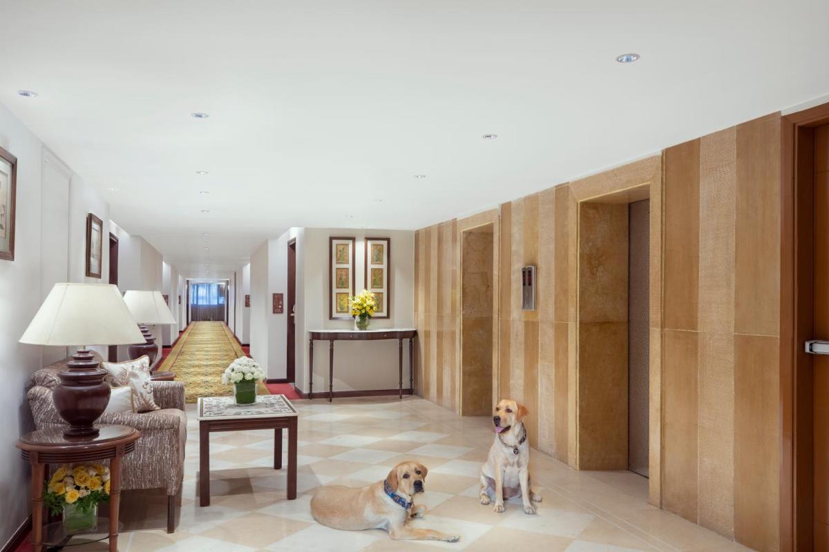 two dogs sitting in the middle of a living room at Tajview, Agra-IHCL SeleQtions in Agra