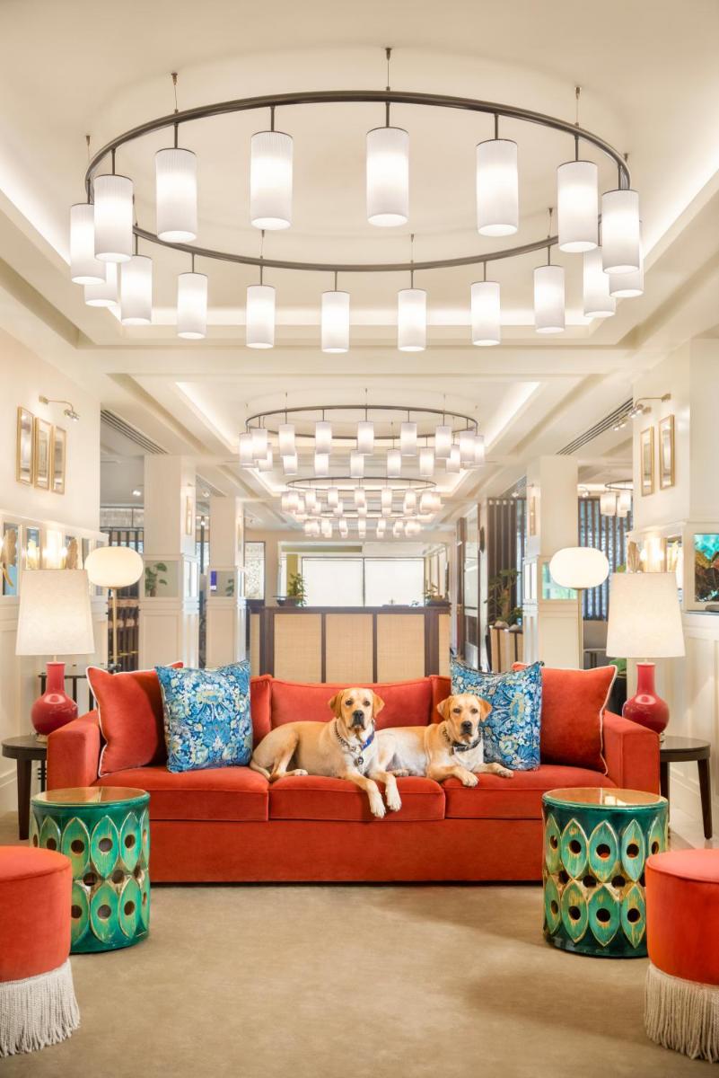 two dogs sitting on a red couch in a store at Tajview, Agra-IHCL SeleQtions in Agra