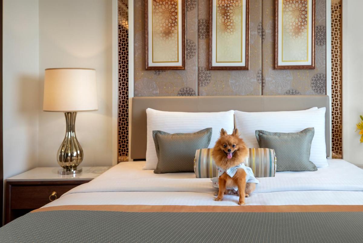 a dog sitting on top of a bed at Tajview, Agra-IHCL SeleQtions in Agra