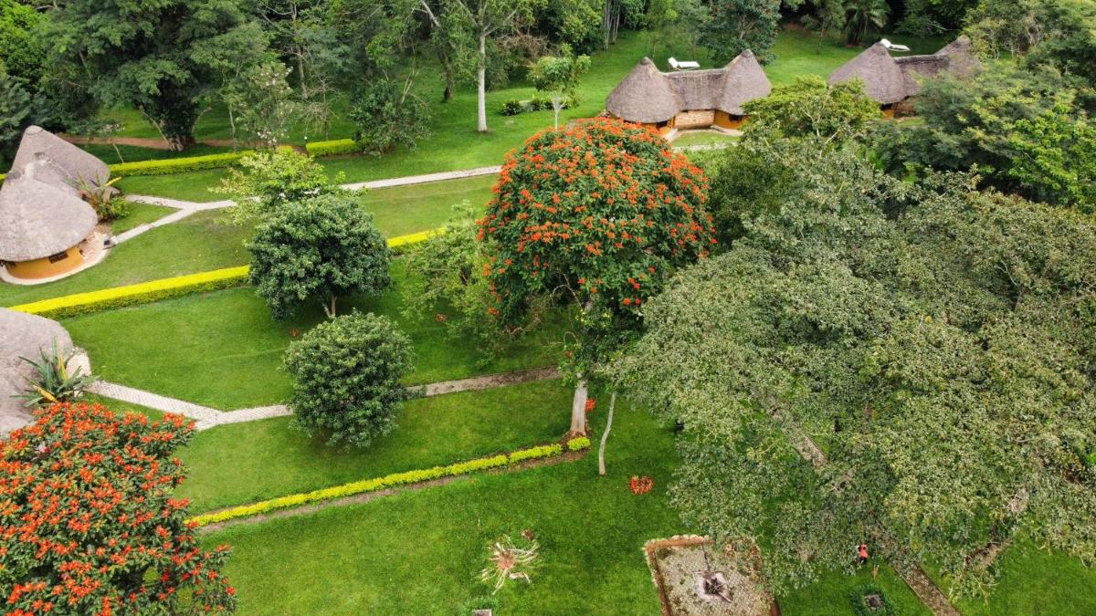 Kibale Guest Cottages - Housity