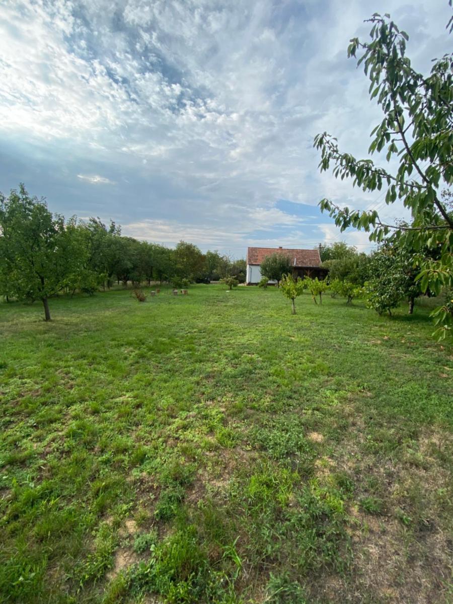 Dézsavű Vendégház - Housity