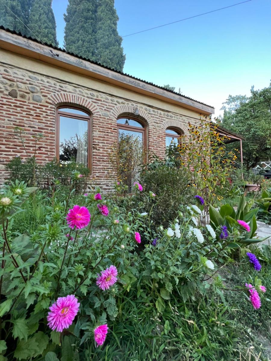 Guest House Lali - Housity
