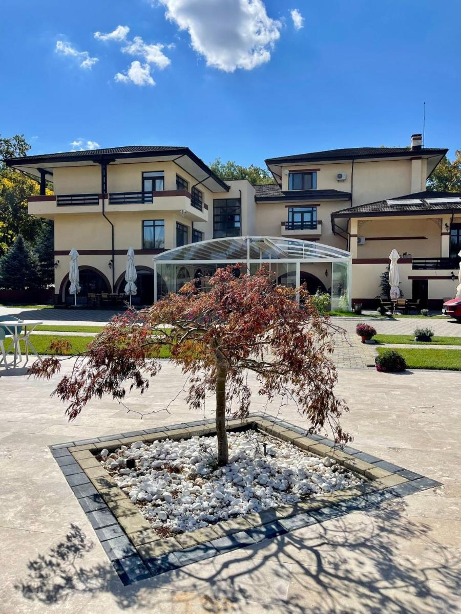 Curtea Domneasca - Housity