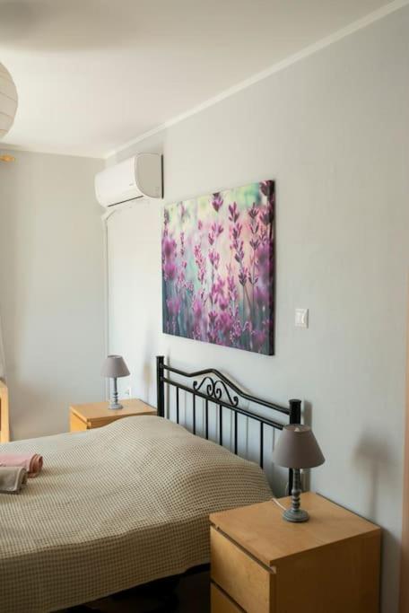 Anadora 2: Hospitable stone house with yard - Hizvo