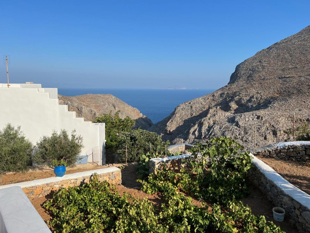 Cycladic houses in rural surrounding - Housity