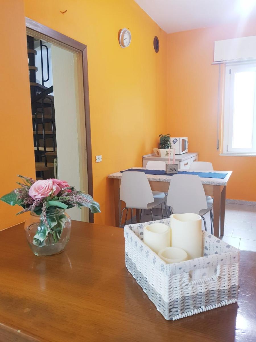 Sleep & Fly Apartment - Housity