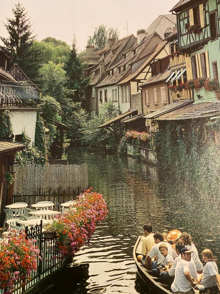 Les volets bleus - Housity