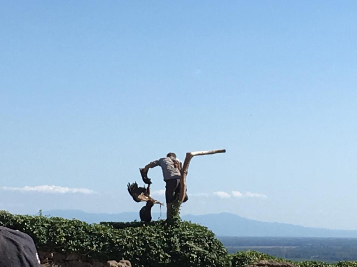 Les volets bleus - Housity