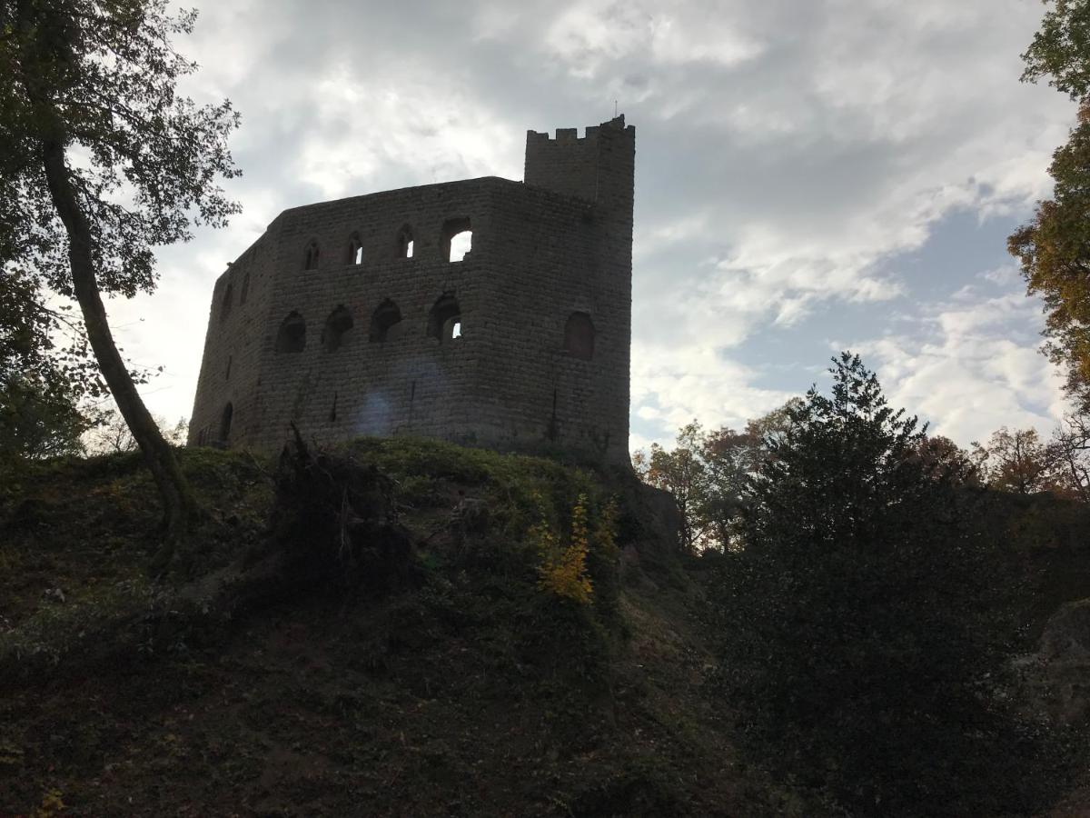 Les volets bleus - Housity