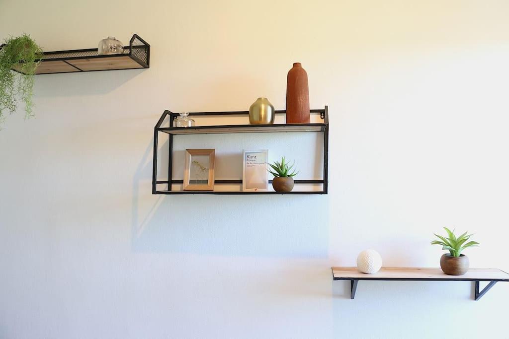 T3 Spacieux et Chaleureux - Montauban Centre - Housity