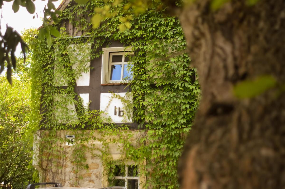 Naturferienwohnung Schöpstal - Housity