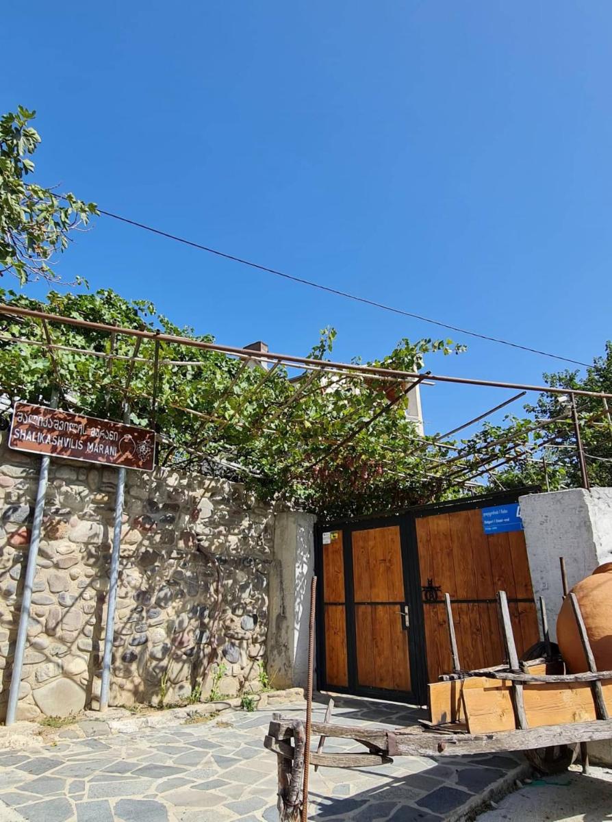safari house - Housity