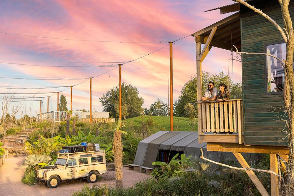Parrot World - Les Lodges - Housity