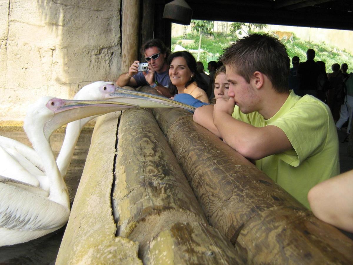 Clientes alojados en Magic Natura Resort