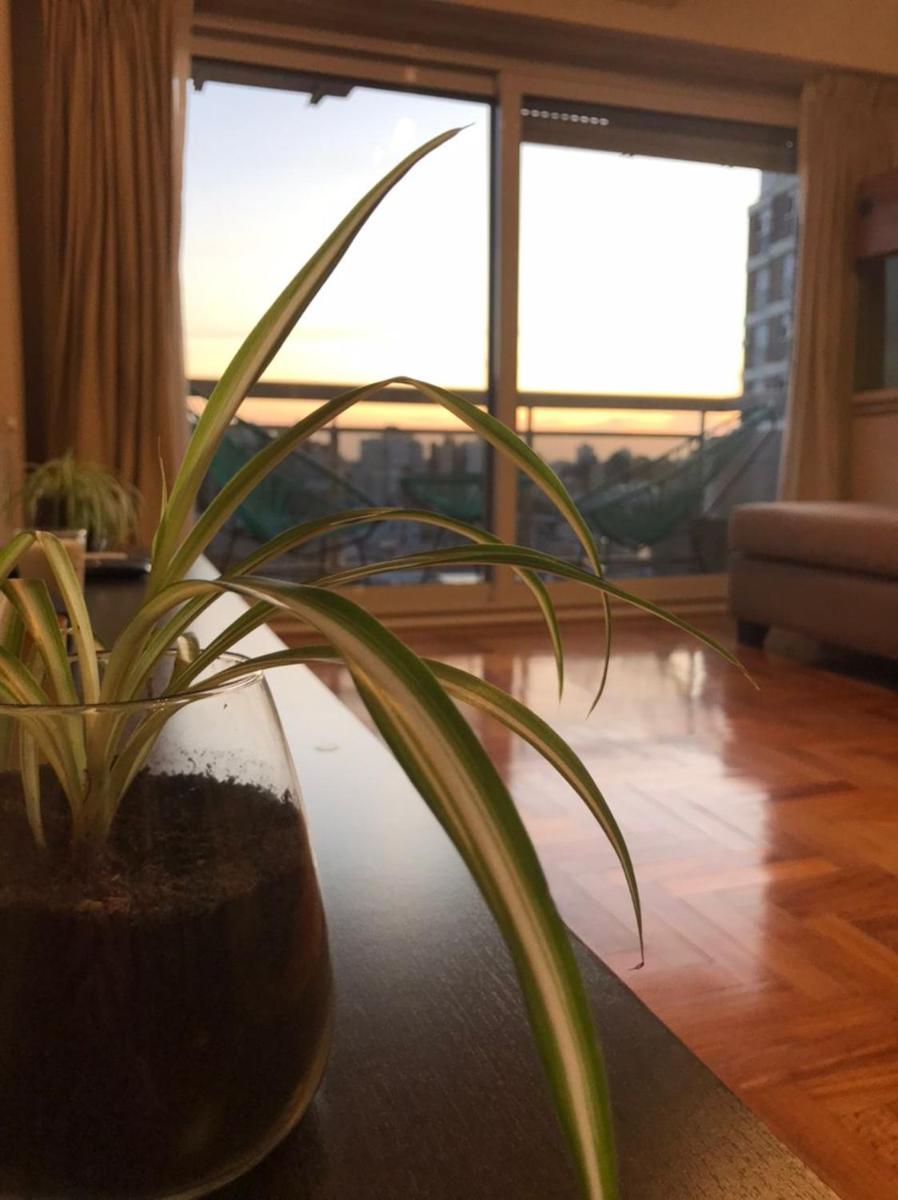 Departamento ROMA 3 Ambientes - Housity