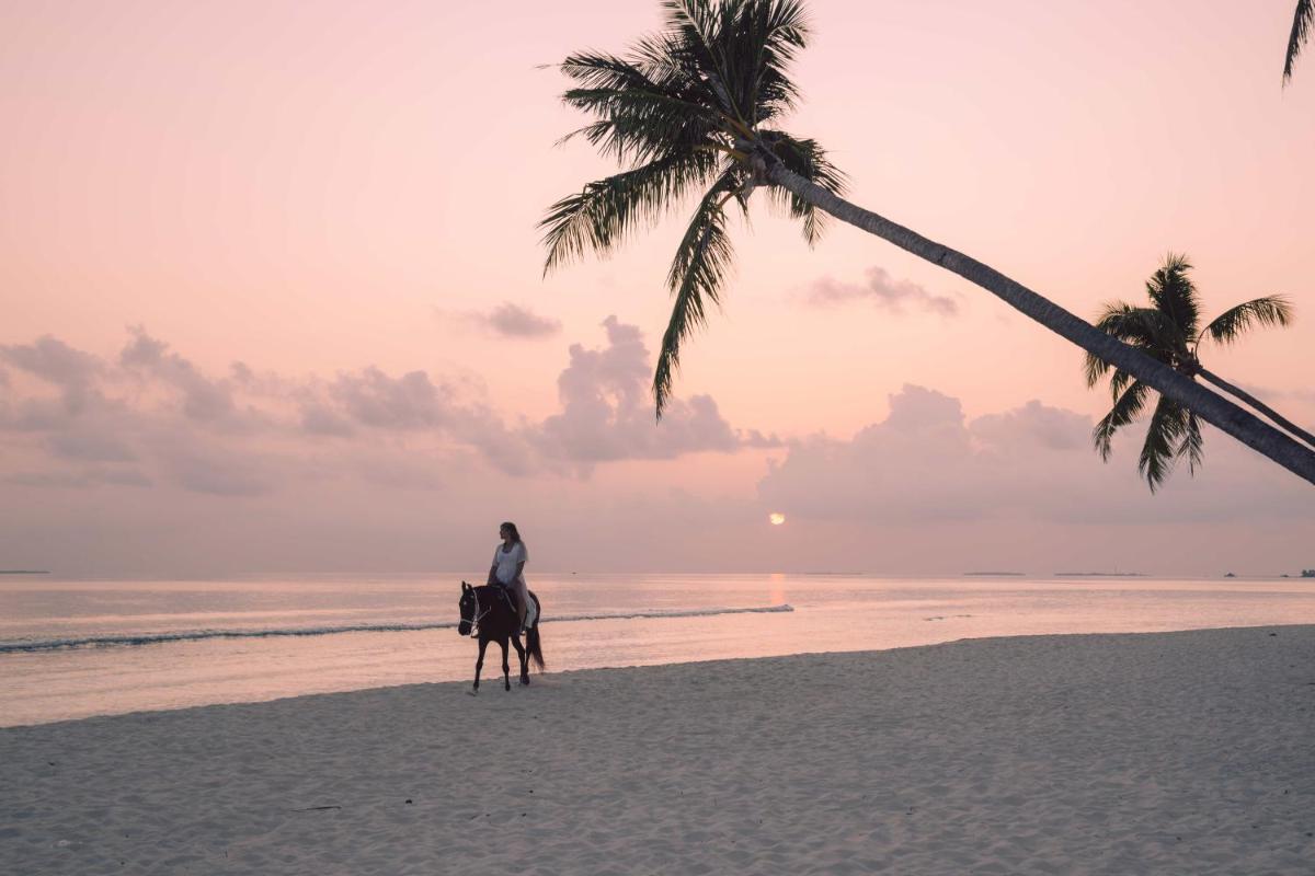 Siyam World Maldives - 24-Hour Premium All-inclusive with Free Transfer - Housity
