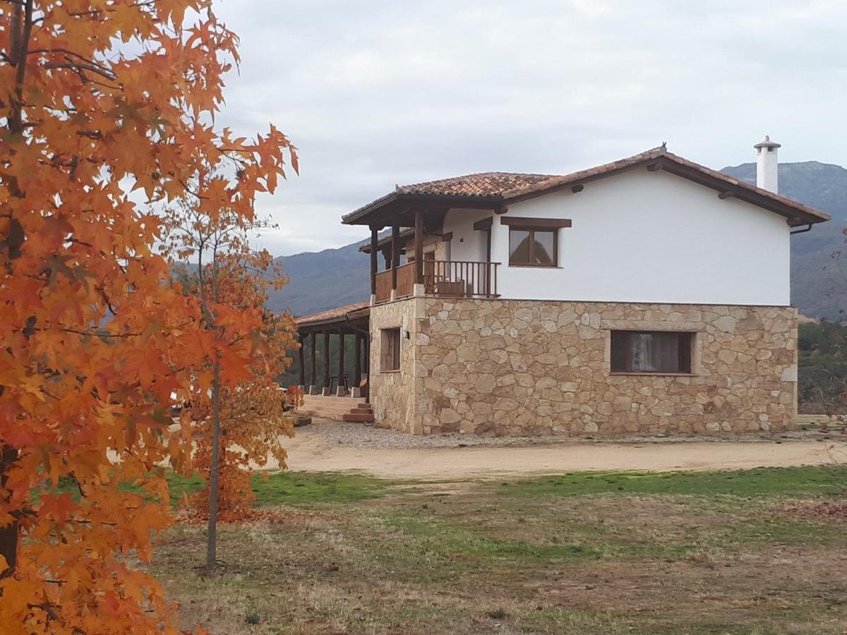 Sakura Vera - Housity