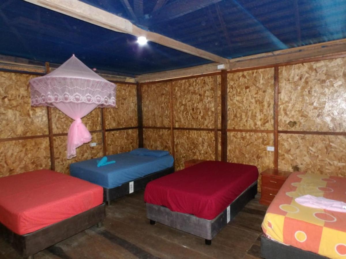 Emerald forest expeditions and tours - Housity