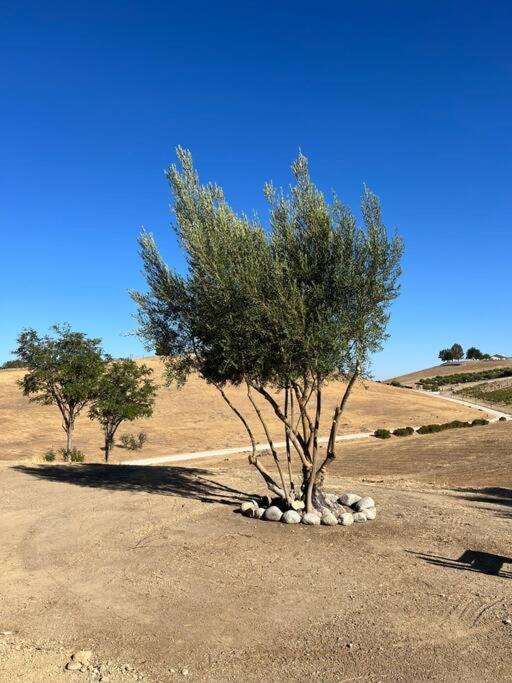 Peaceful 4 Bedroom Farm Stay at Whispering Vines - Housity