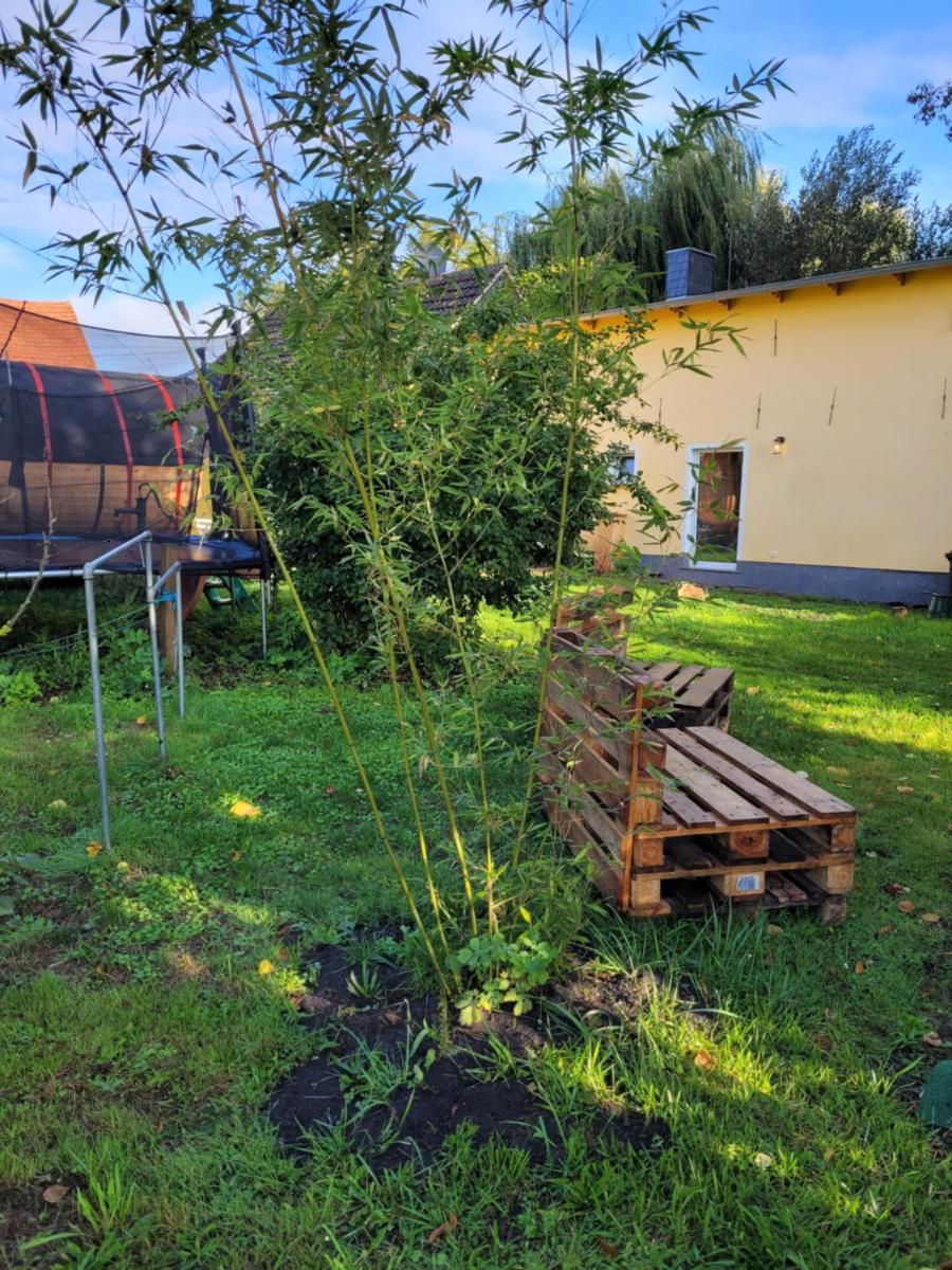 Haus Evelynchen Apartment 1 Deutschhof - Housity