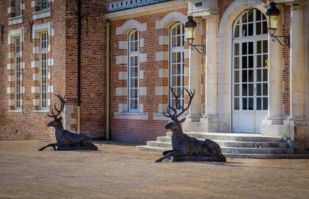Animaux dans l'hôtel ou à proximité