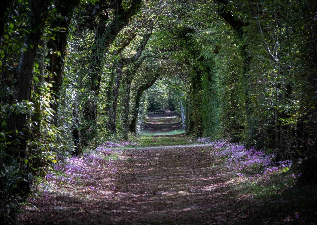 Jardin de l'établissement La Borde en Sologne Château & Spa