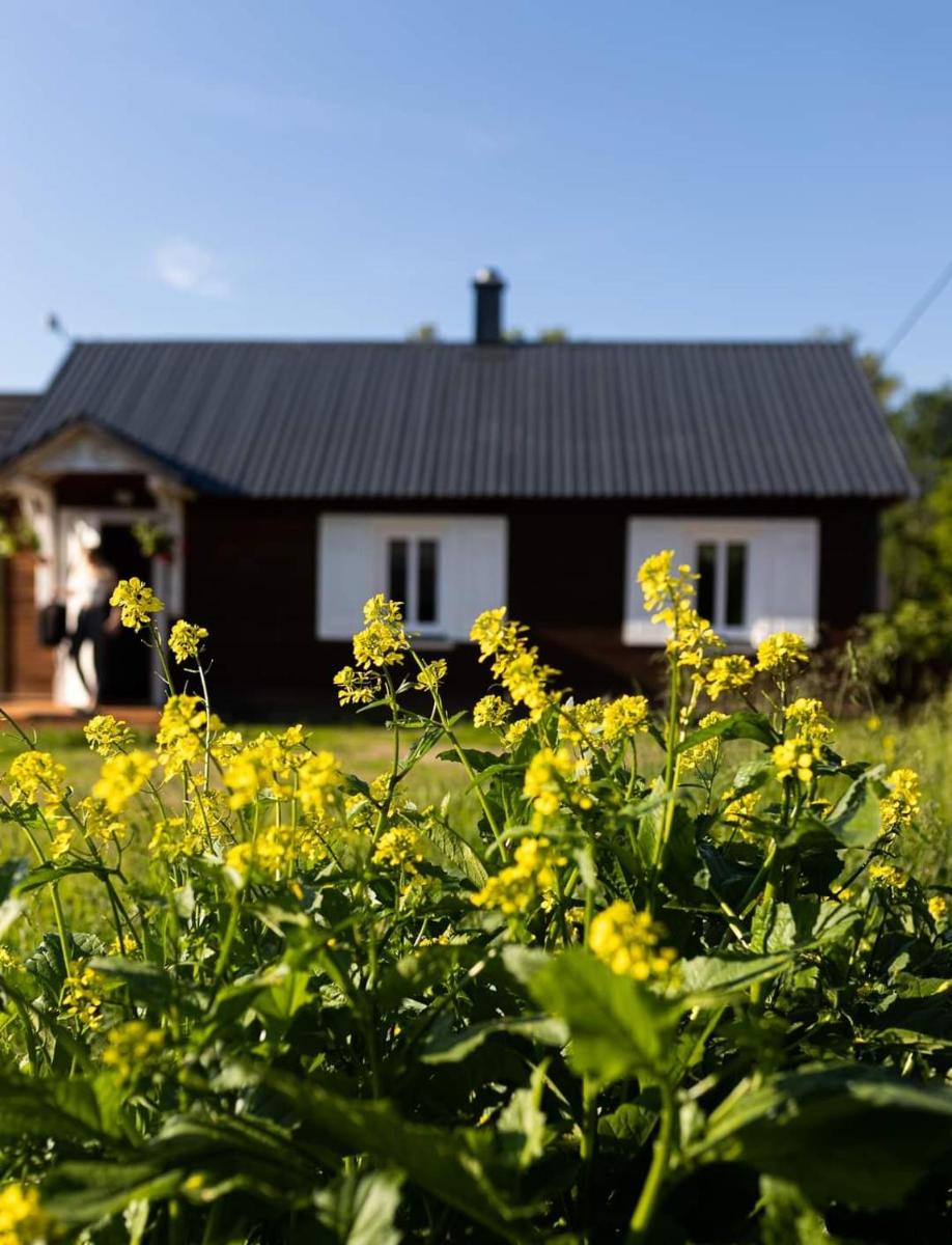 Rajska Kolonia - Housity