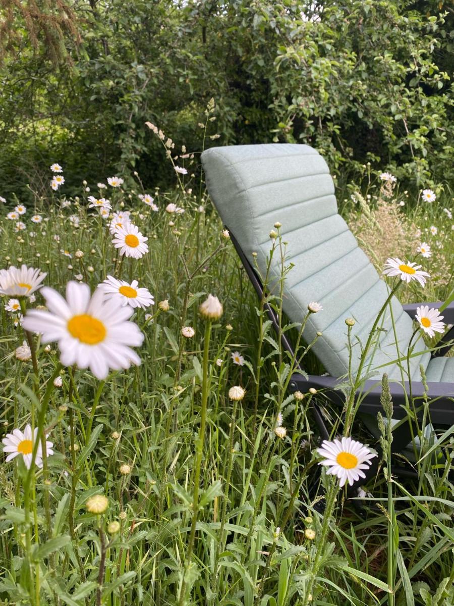 STUDIO CHAUMIERE sur un domaine de 10 hectares - Housity