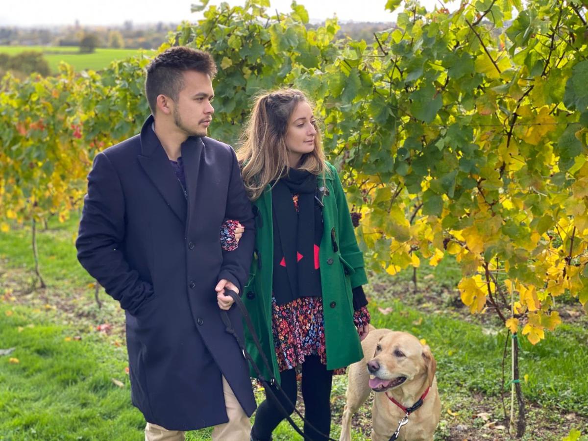 Hencote Vineyard Glamping Village - Housity