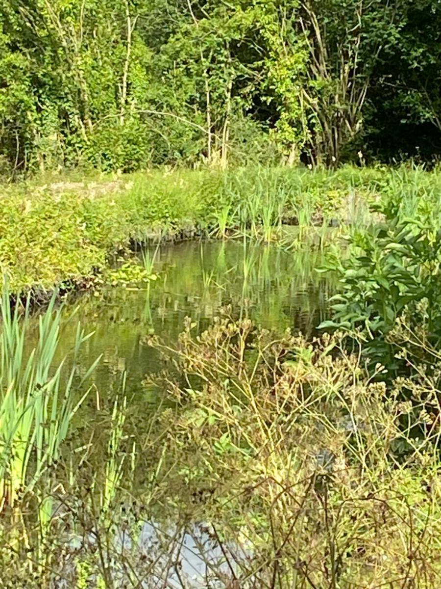 Marshpools Bed & Breakfast - Licensed near Weobley village - Housity