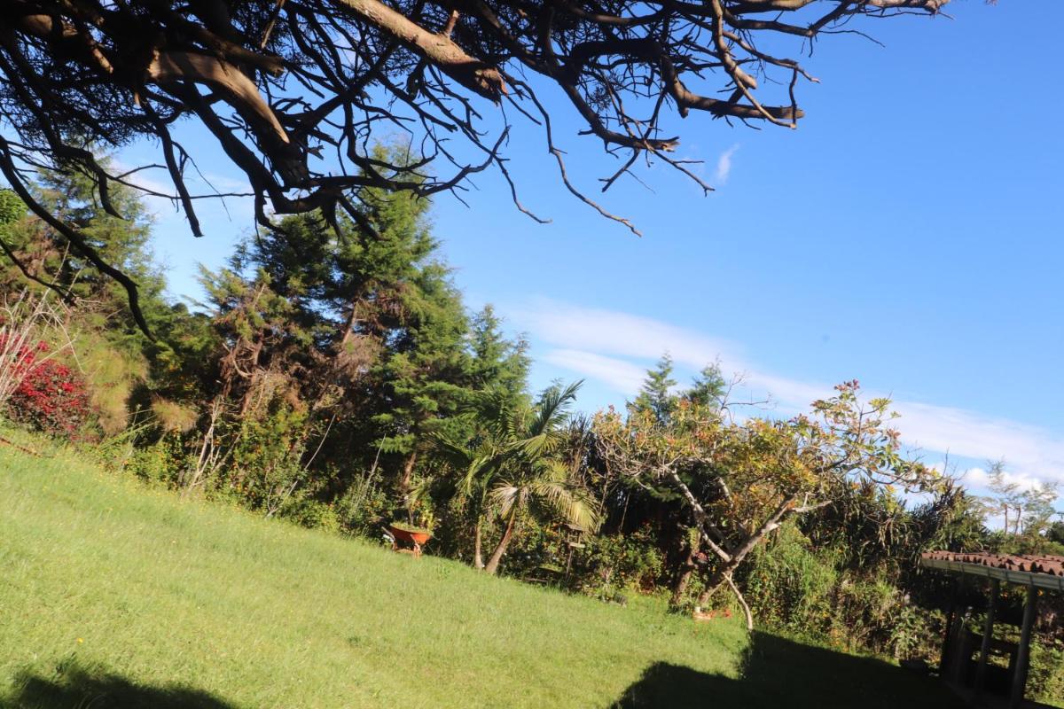 Finca la Mariposa, Santa Elena - Housity