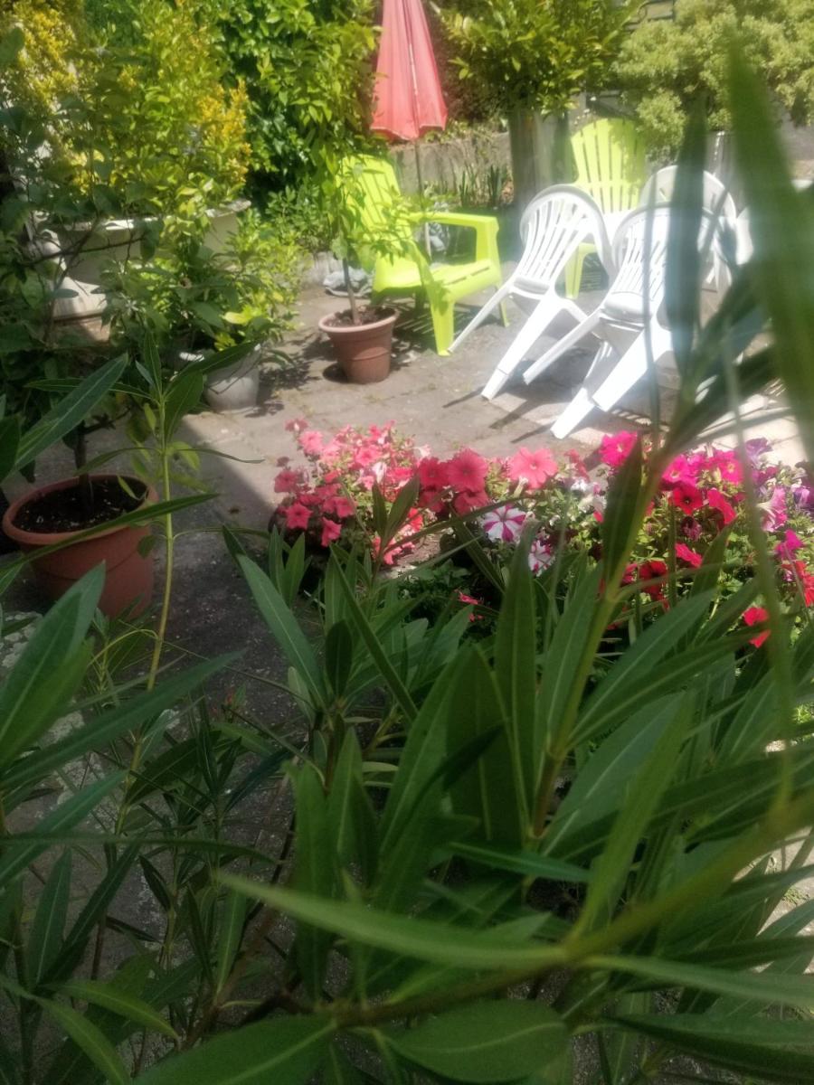 Gite La maison d'Odette - Housity