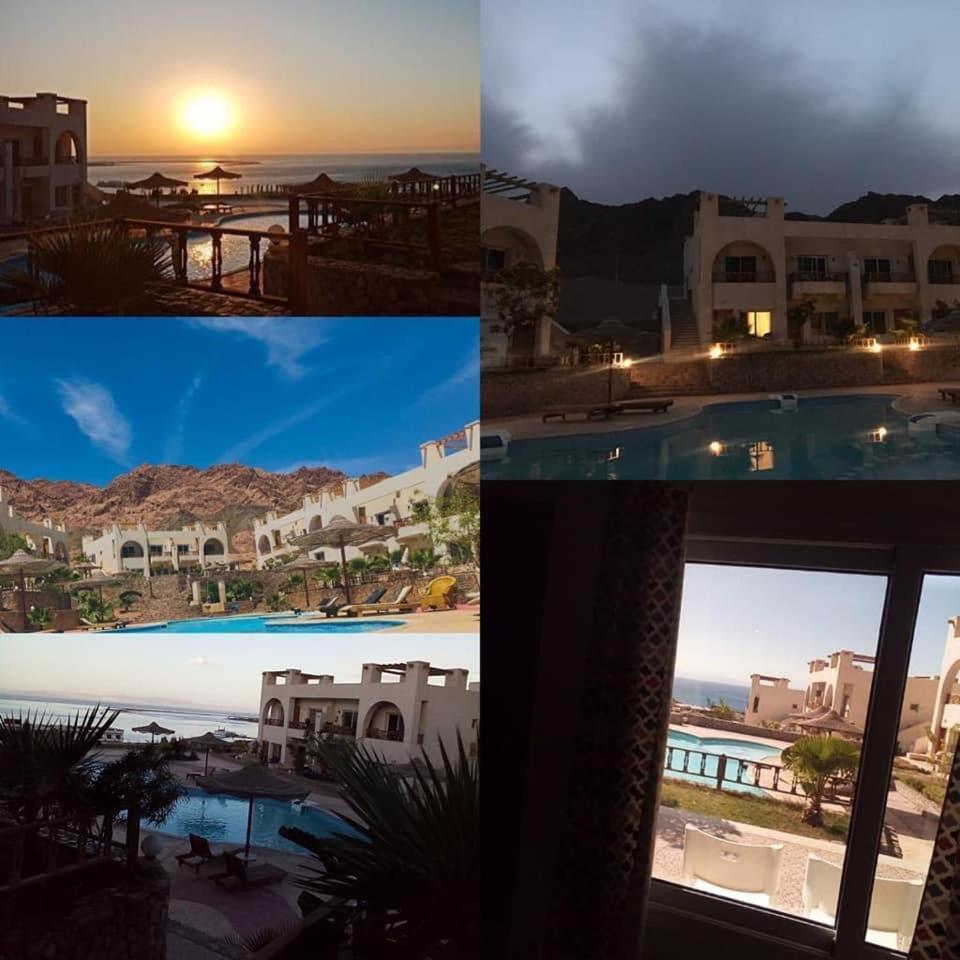 House sunny dahab - Housity