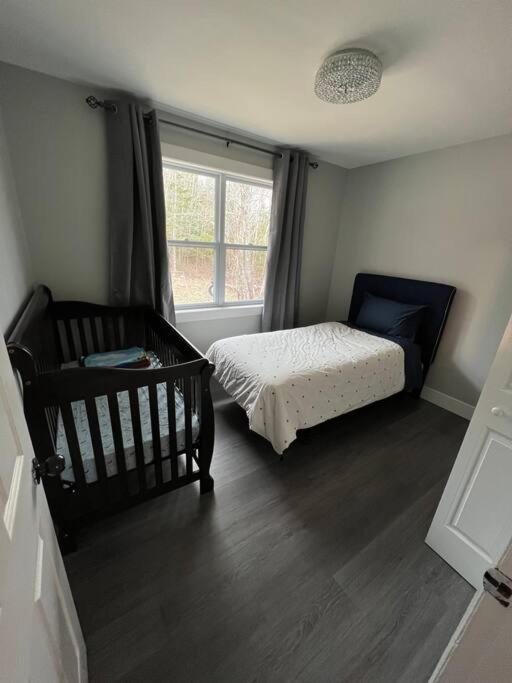 Sunny, newly renovated 3BRM home With free parking in lower sackville - Housity