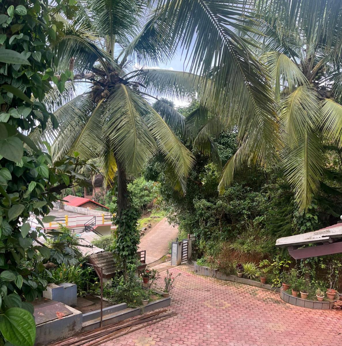 GREEN VALLEY Homestay - Housity